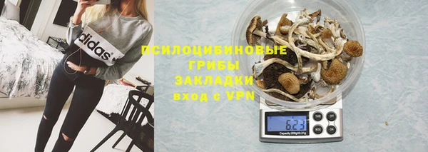 соль ск Армянск