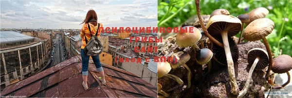 герыч Аркадак