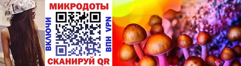 Псилоцибиновые грибы Cubensis  Канаш 